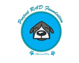 Project RAD Foundation entry by Dollly