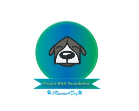 Project RAD Foundation entry by Dollly