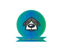 Project RAD Foundation entry by Dollly