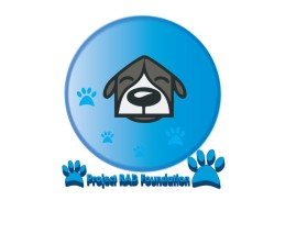 Project RAD Foundation entry by Dollly
