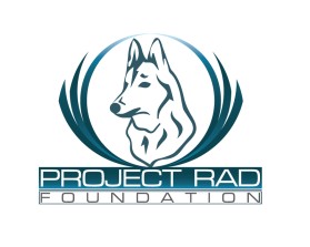 Project RAD Foundation entry by Artisto