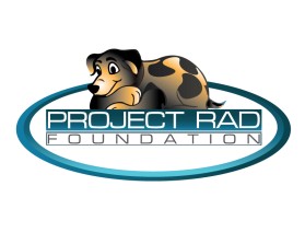 Project RAD Foundation entry by Artisto
