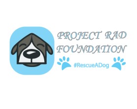 Project RAD Foundation entry by Dollly