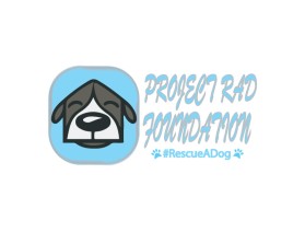 Project RAD Foundation entry by Dollly