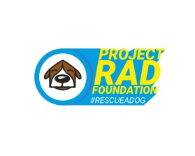 Project RAD Foundation entry by ari vernon
