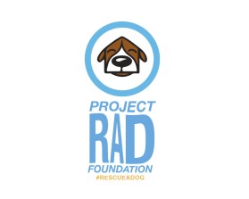 Project RAD Foundation entry by ari vernon