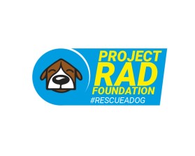 Project RAD Foundation entry by ari vernon