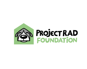 Project RAD Foundation entry by andrelenoir