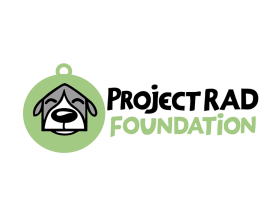 Project RAD Foundation entry by andrelenoir