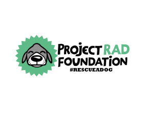 Project RAD Foundation entry by andrelenoir