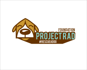 Project RAD Foundation entry by khalisna