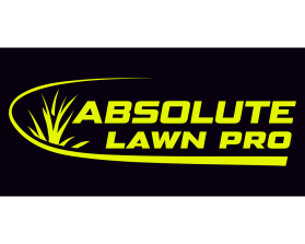 ABSOLUTE LAWN PRO entry by DORIANA999