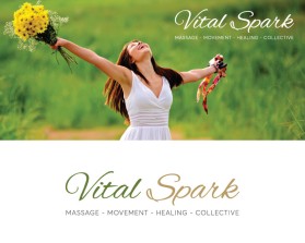 Vital Spark  entry by nsdhyd