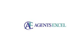 Agents Excel entry by Animman