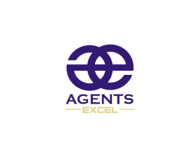 Agents Excel entry by andrelenoir