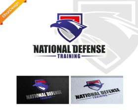 National Defense Training entry by Ethan