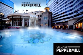 Vermont Peppermill entry by Asma Tanha