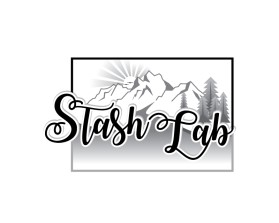 Stash Lab entry by dshineart