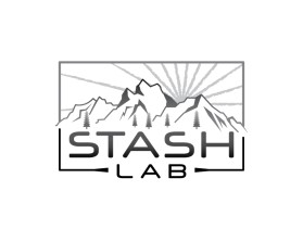 Stash Lab entry by dshineart