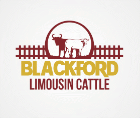 Blackford Limousin Cattle  entry by wongsanus