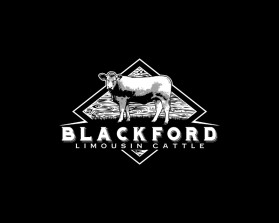Blackford Limousin Cattle  entry by babyakina
