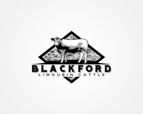Blackford Limousin Cattle  entry by babyakina