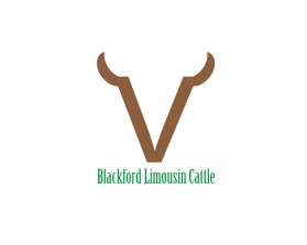 Blackford Limousin Cattle  entry by Dollly