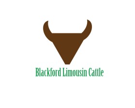 Blackford Limousin Cattle  entry by Dollly