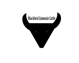 Blackford Limousin Cattle  entry by Dollly