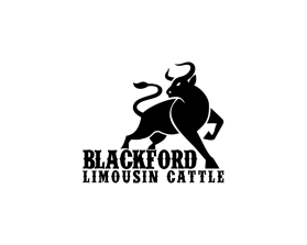 Blackford Limousin Cattle  entry by creativiti
