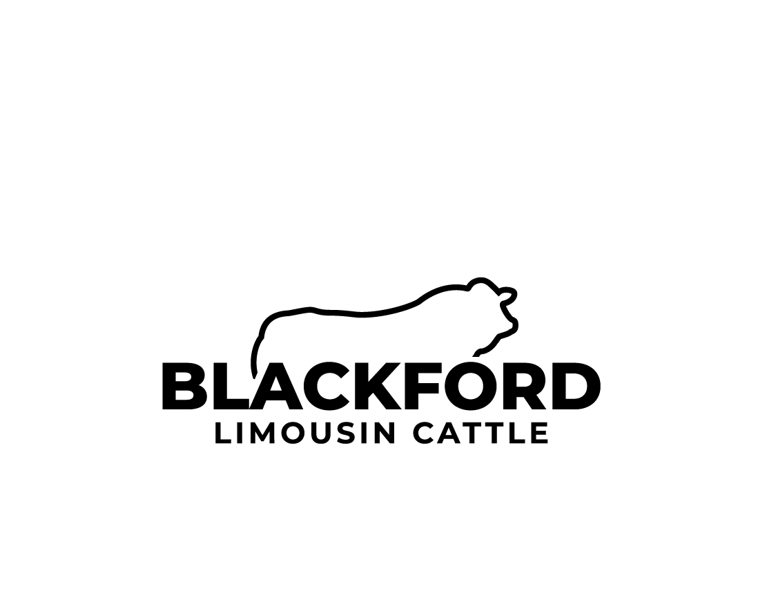 Logo Design for Blackford Limousin Cattle