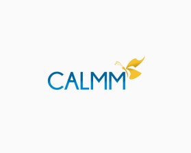 CALMM entry by JFsaing