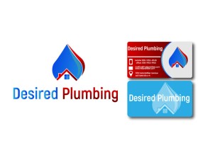 Desired Plumbing entry by temr