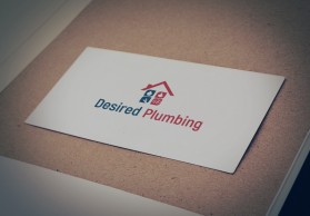 Desired Plumbing entry by temr