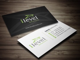 iLevel Brands entry by mkgraphics