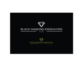 Black Diamond Endeavors, LLC entry by Niels
