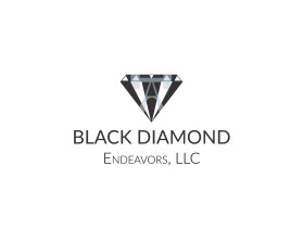 Black Diamond Endeavors, LLC entry by johns-book