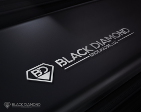 Black Diamond Endeavors, LLC entry by einaraees