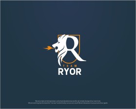Team RYOR entry by Moderat