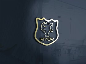 Team RYOR entry by cyber