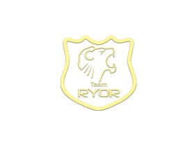 Team RYOR entry by cyber
