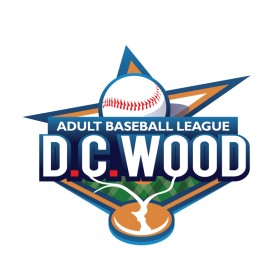 Adult Baseball League  entry by Amit Kumar