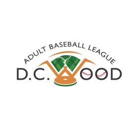 Adult Baseball League  entry by Amit Kumar