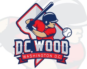 Washington D.C. Logos design