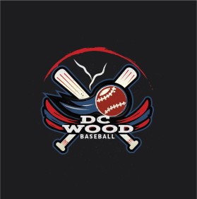 Adult Baseball League  entry by Armen Berejiklian