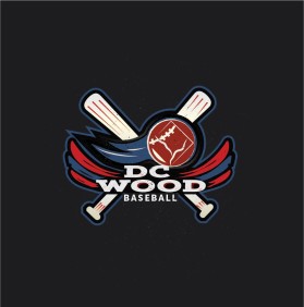 Adult Baseball League  entry by Armen Berejiklian