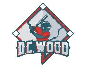 Winning entry: Adult Baseball League  entry by Kim Beckworth