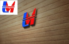 The company is called "Leadership Means".  I just need a cool "LM" logo.  Just the two letters not the full name. entry by cyber