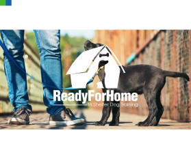 www.Readyforhome.org entry by neilfurry