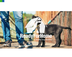www.Readyforhome.org entry by neilfurry